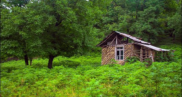 عکسهای طبیعت زیبای شمال ایران