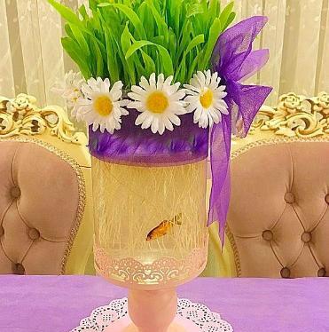 عکس سبزه ی ذرت چگونه است