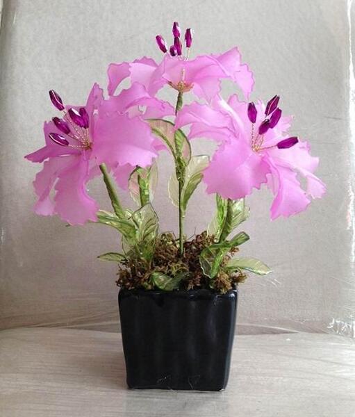 عکس خنده دار عمل بینی
