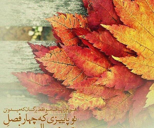عکس زیبا پاییزی برای پروفایل