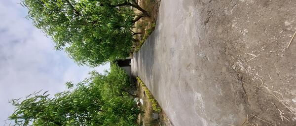 عکس جاده دریا ساری