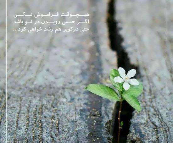 عکس جالب انگیزشی