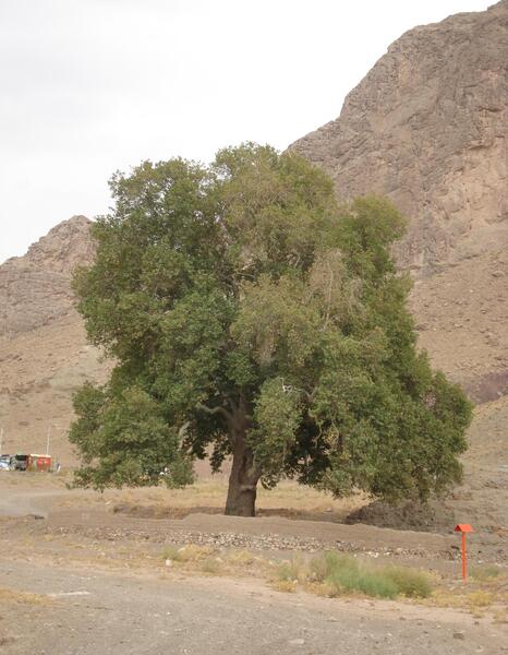 عکس روستای آهوبم