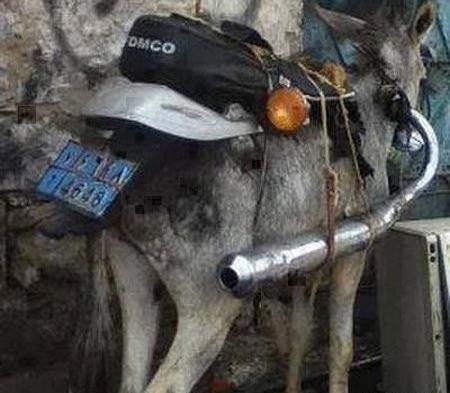 عکس جالب خنده