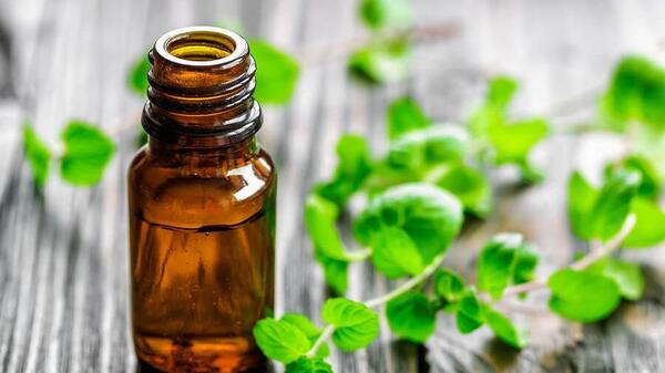عکس روغن نعناع