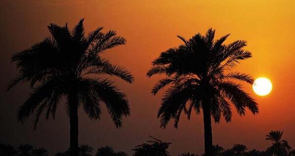 عکس اهواز شب