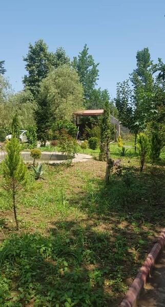 عکس دریا جت اسکی