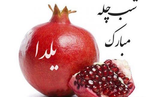 عکس پروفایل واتساپ شب یلدا