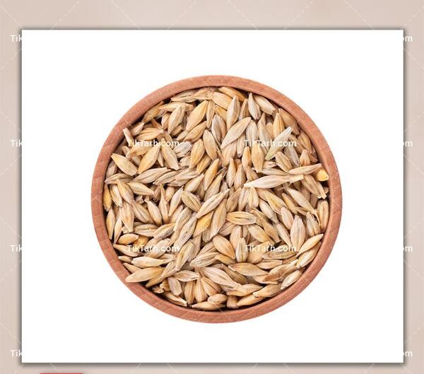 عکس طلوع آفتاب در گندم زار