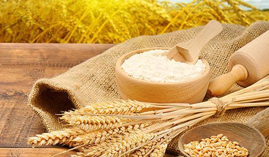 عکس طلوع آفتاب در گندم زار