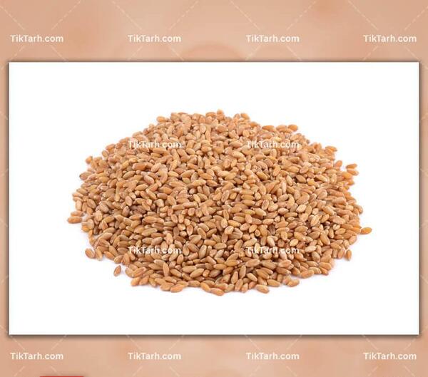 عکس طلوع آفتاب در گندم زار