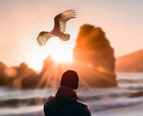 عکس عقاب جنگی برای پروفایل