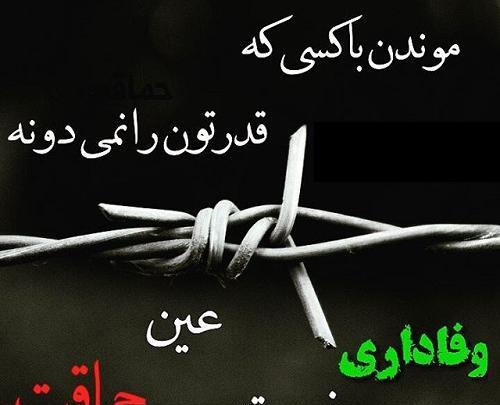 چالش عکس قورباغه