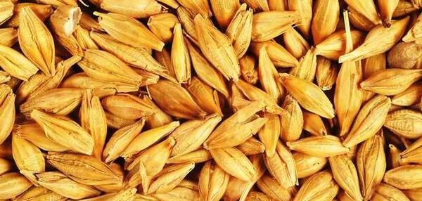 عکس جو روسی