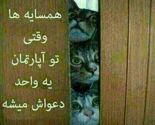 عکس چالش خنده