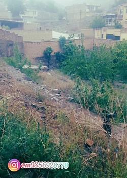 عکس شیر خدا واقعی