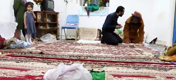 عکس شیر خدا واقعی
