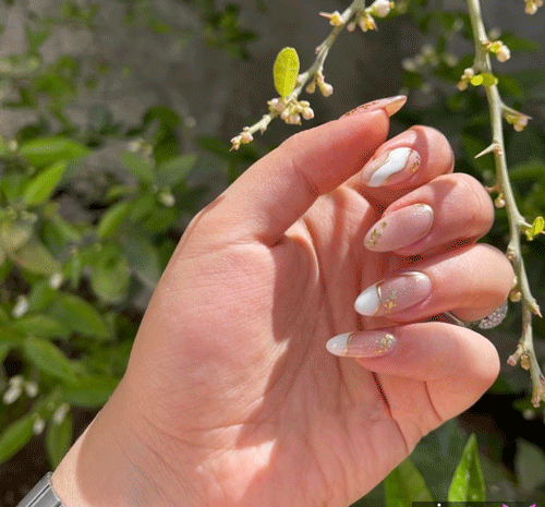 عکس طراحی ناخن اروپایی