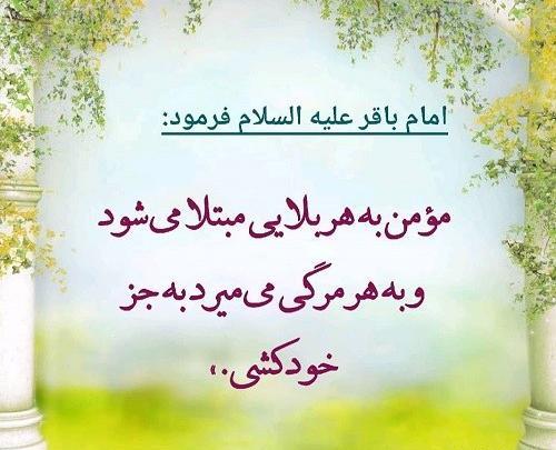 عکس طناب دار با گل