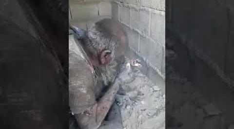 عکس طناب دار با گل