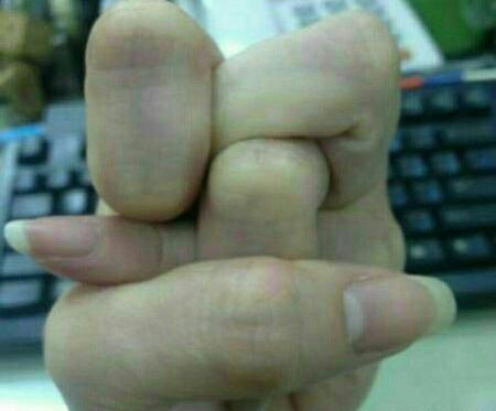 عکس طنز روباه