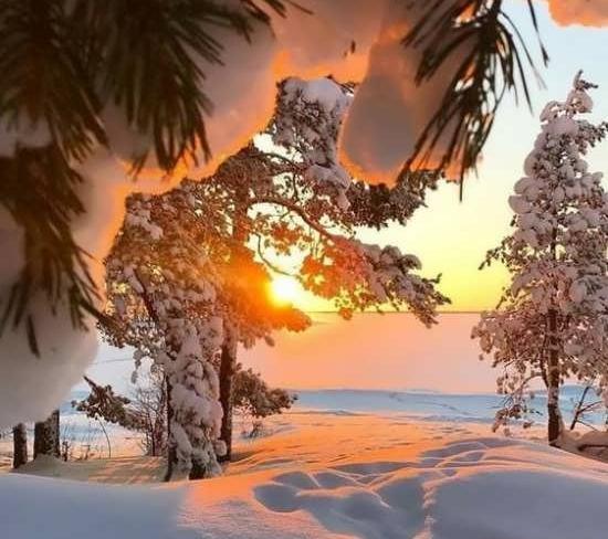 عکس طبیعت جدید برای پروفایل