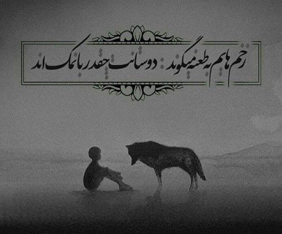 عکس عشق گله داری