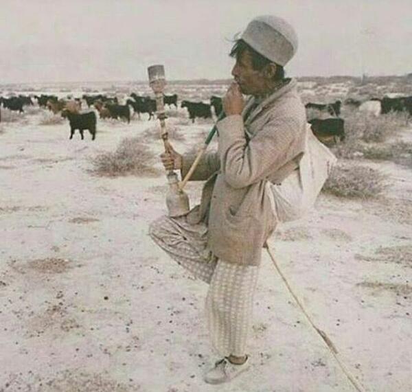 عکس عشق گله داری
