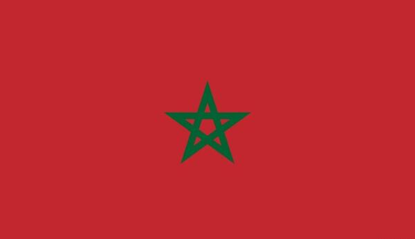 عکس جغد جوجه
