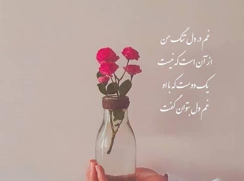 عکس راجب حافظ