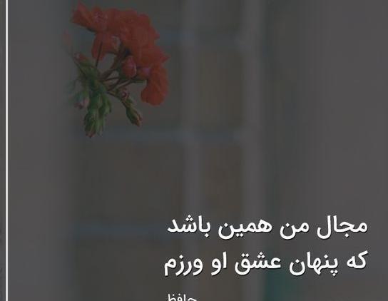 عکس راجب حافظ