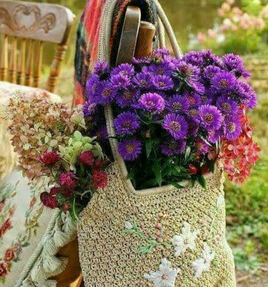 عکس ظهر آدینه