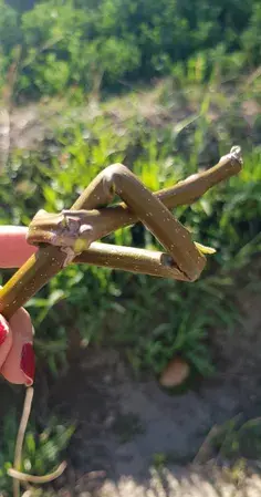 عکس ظهر آدینه