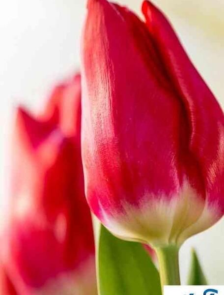 عکس بدون متن زیبا عاشقانه