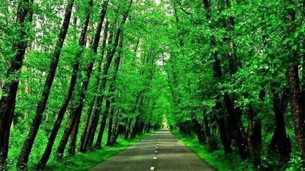 عکس دریا تالش
