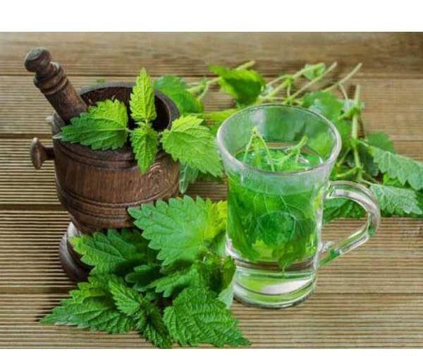 عکس عرق نعناع