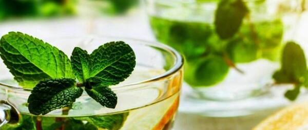 عکس عرق نعناع