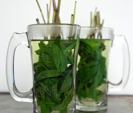 عکس عرق نعناع