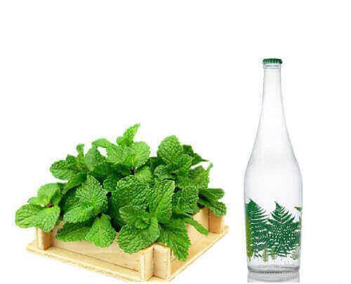 عکس عرق نعناع