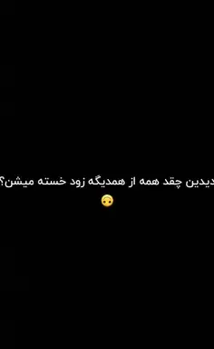 عکس تولدم مبارک گربه