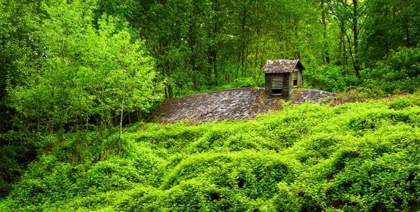 عکس زیبا طبیعت برای صفحه گوشی