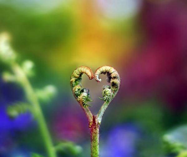 عکس زیبا طبیعت برای صفحه گوشی