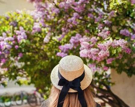 عکس طبیعت بهاری برای پروفایل