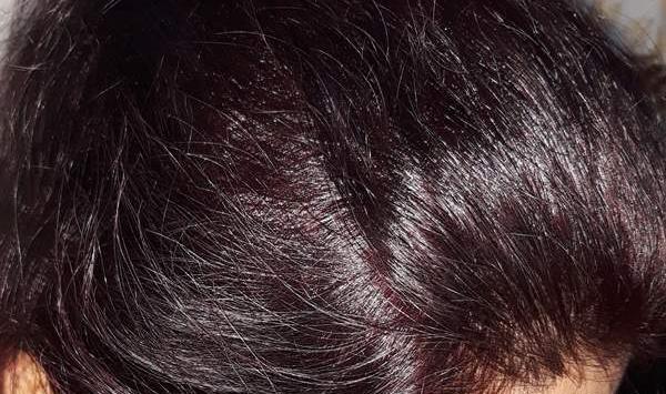 عکس رنگ مو نی نی سایت