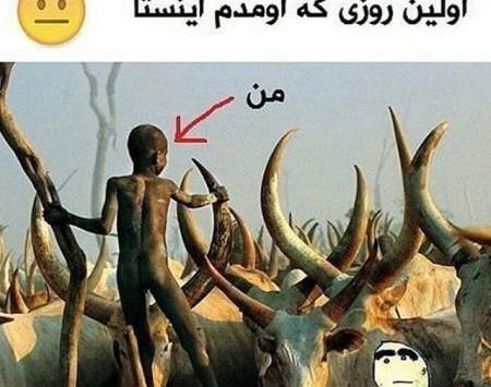 عکس خنده دار منفی 18
