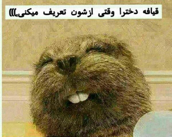 عکس ضد حال دخترونه