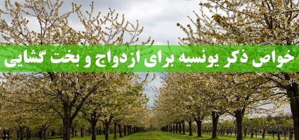 عکس ذکر یونسیه برای ازدواج