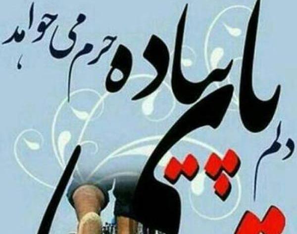 عکس زیبا حسینی