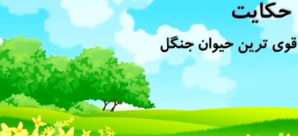 عکس ضرب المثل حکایت