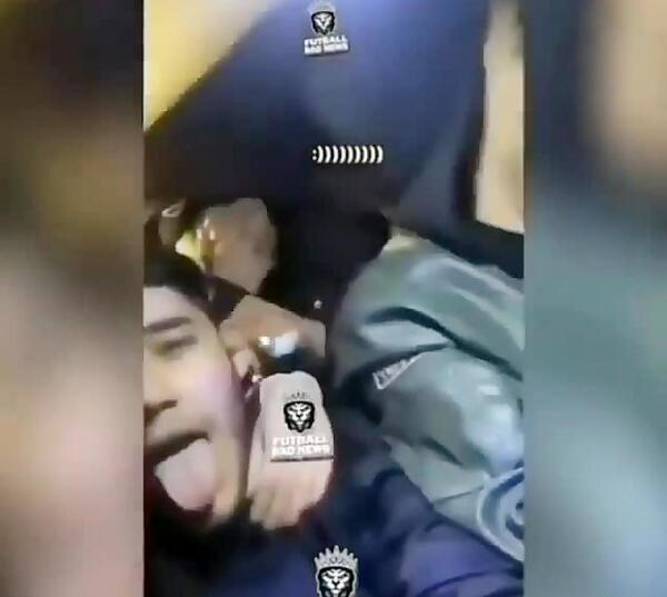 عکس بچه ی جوجه تیغی